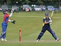 Craig celebrates the wicket of Cedric English.jpg